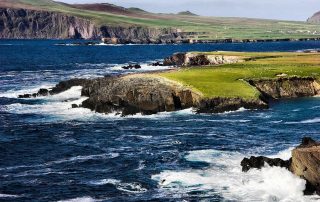 Irish Moss