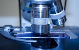 Researchers Look to Fucoidan