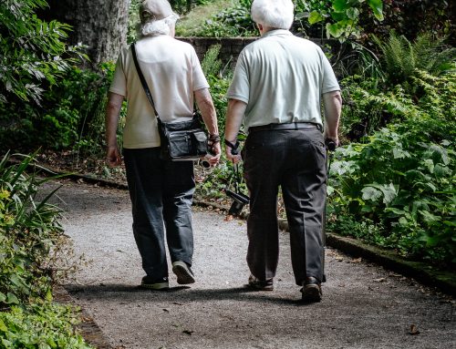 Seaweed Supplement Benefits for Seniors