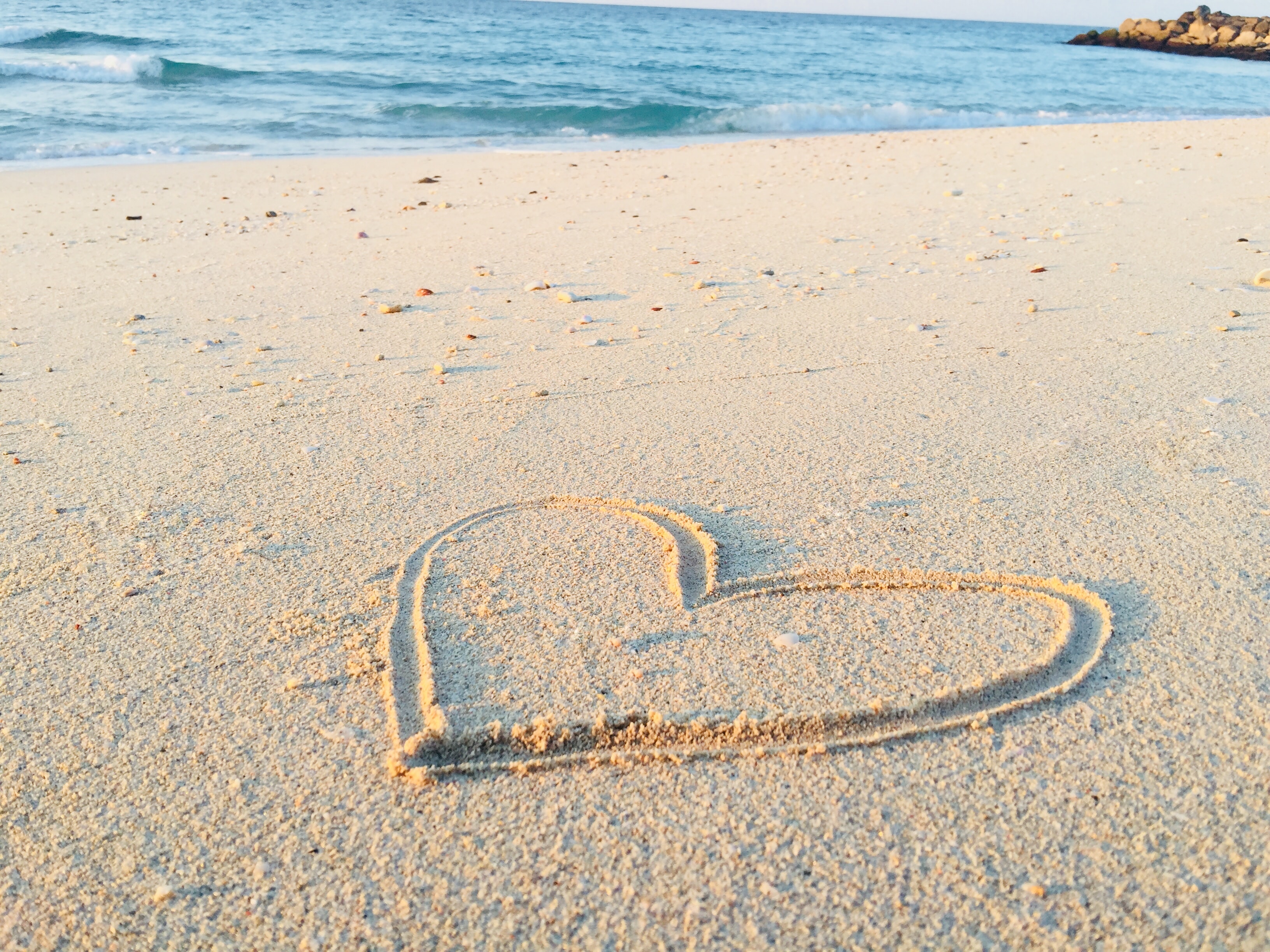 Seaweed for Heart Health