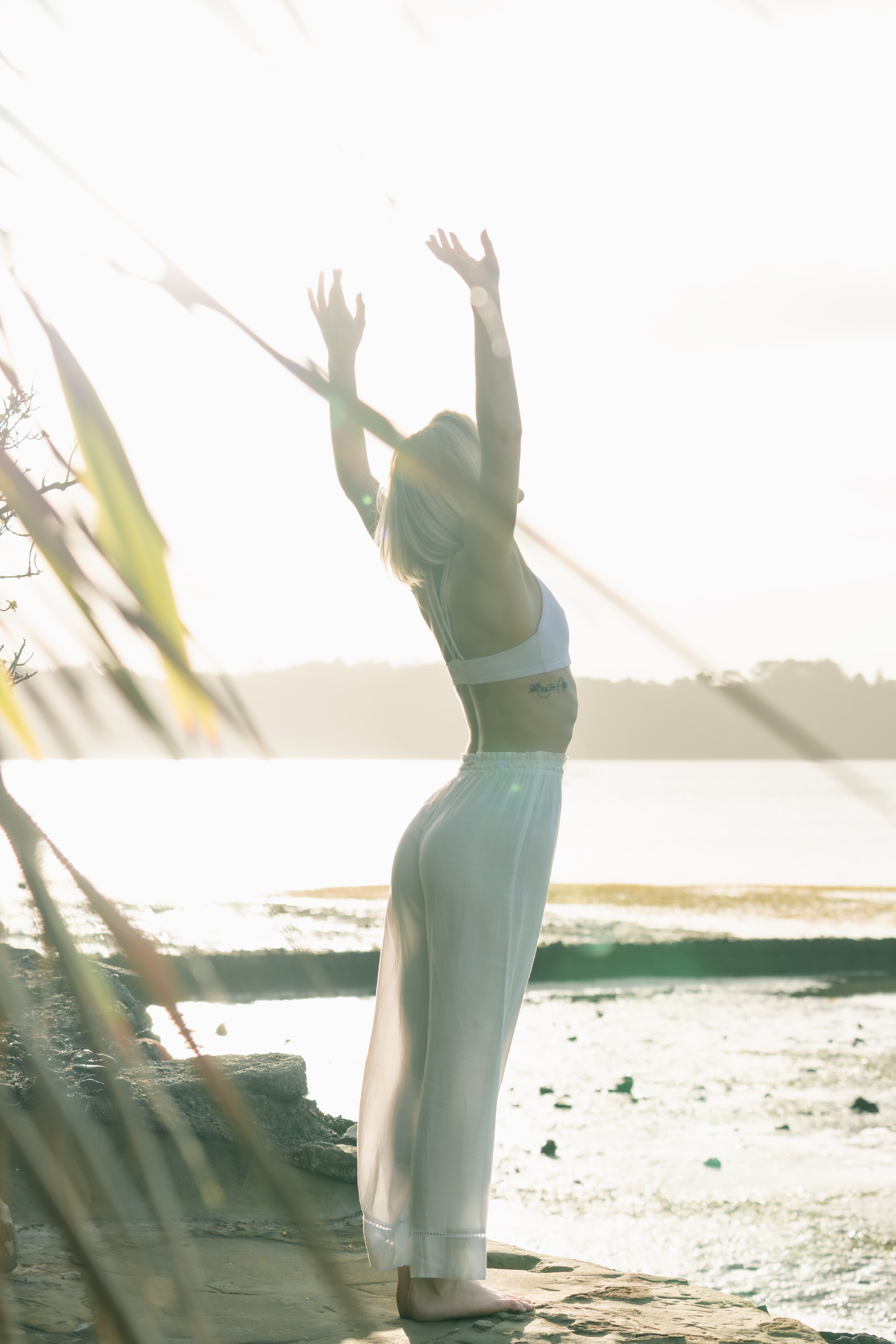 Seaweed is an Anti-Inflammatory