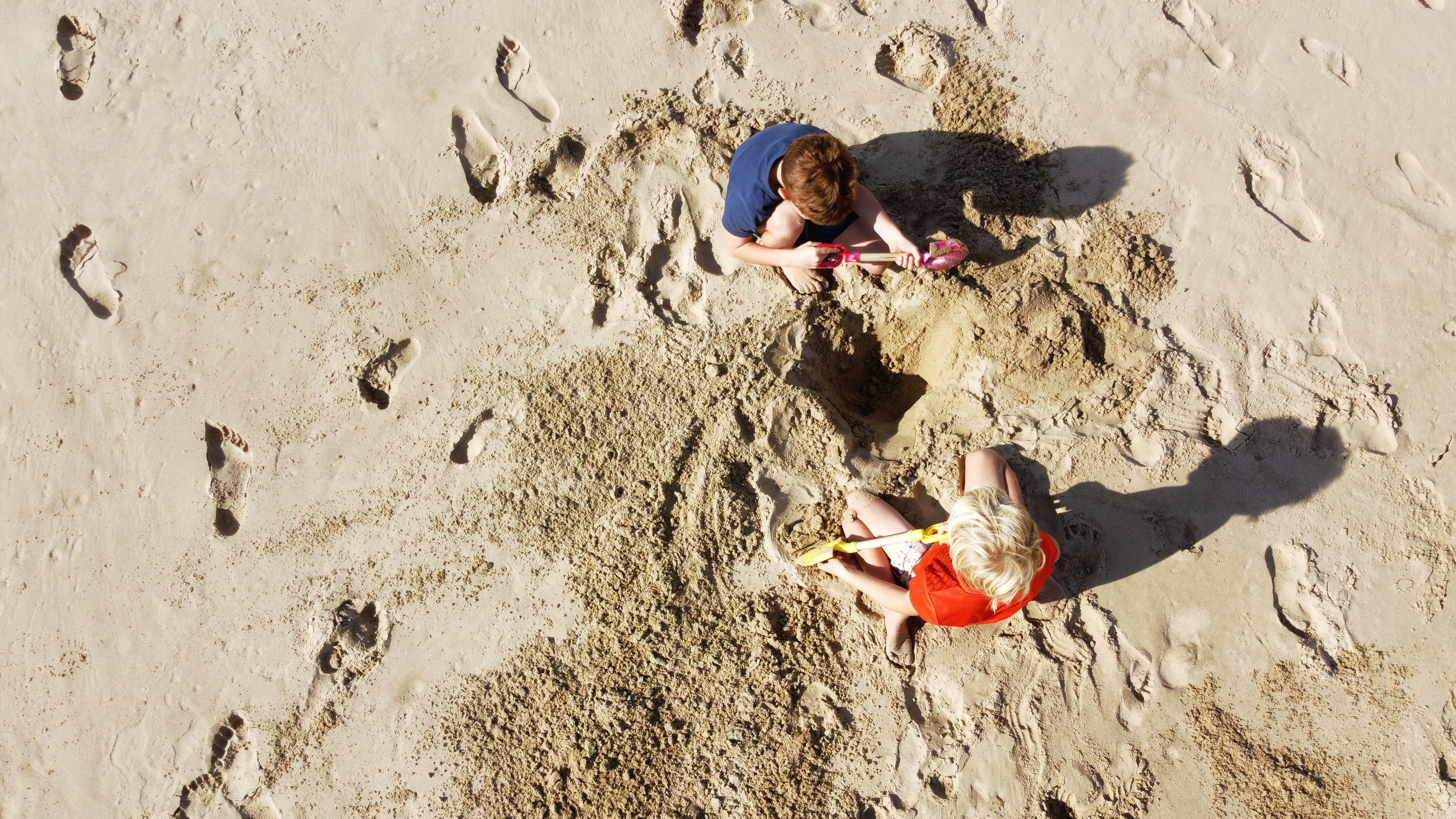 Seaweed: The Healthy Ingredient Your Children Need