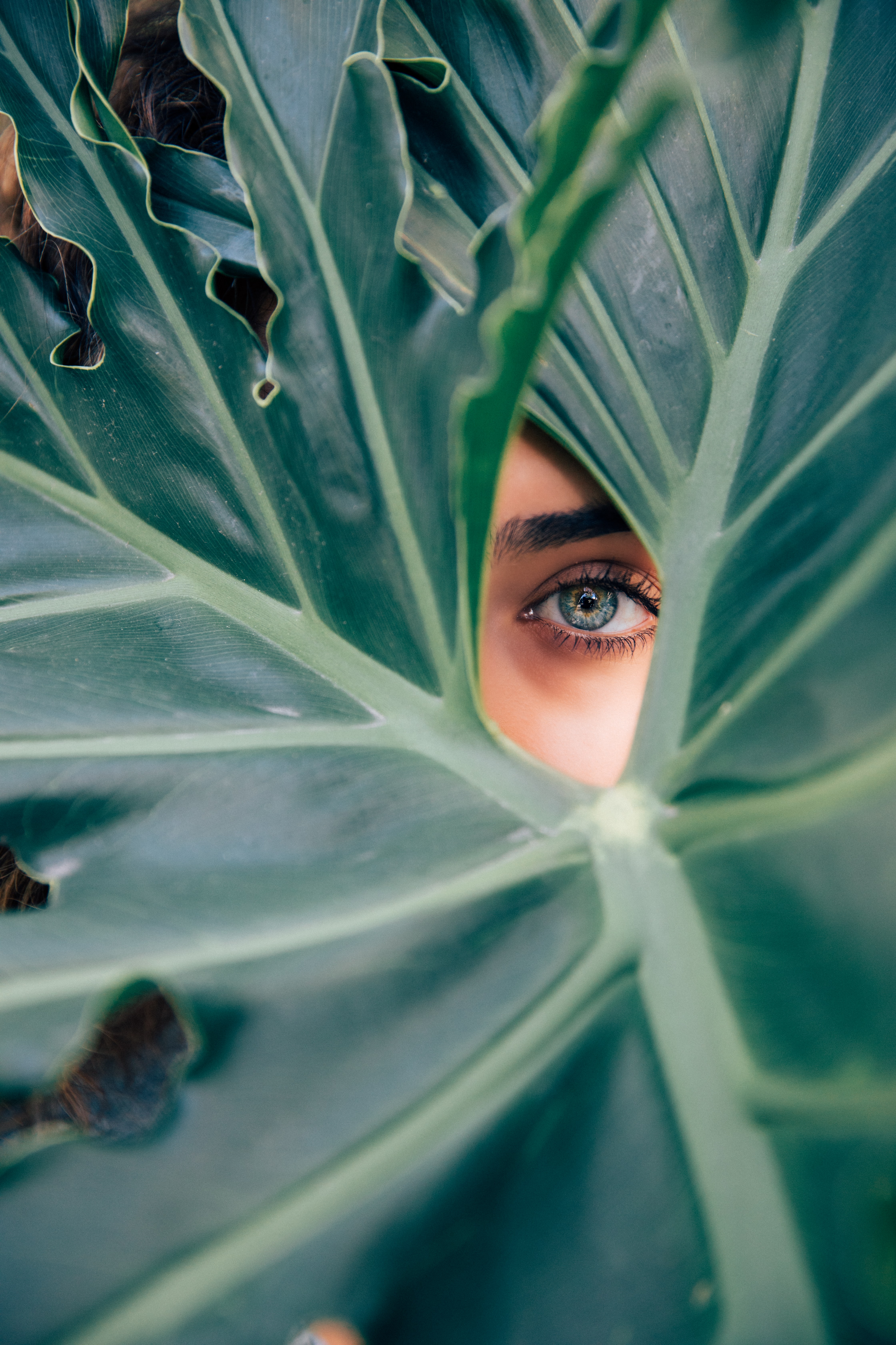 Seaweed & Beauty